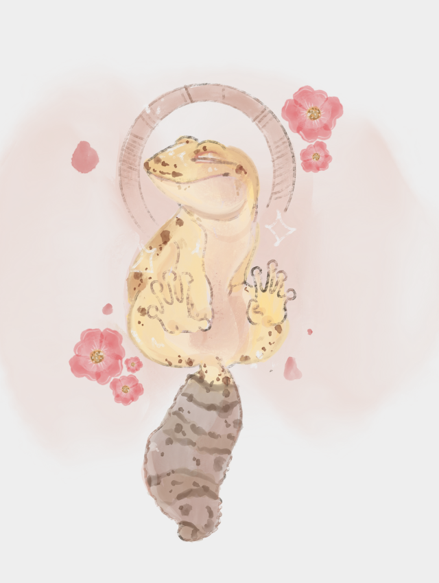 Featured image of post Kawaii Leopard Gecko Drawings Well you re in luck because here they come