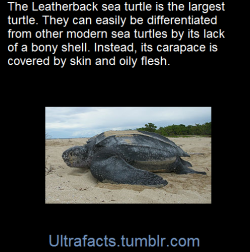 ultrafacts:   (Fact Source)  for more facts, follow Ultrafacts    