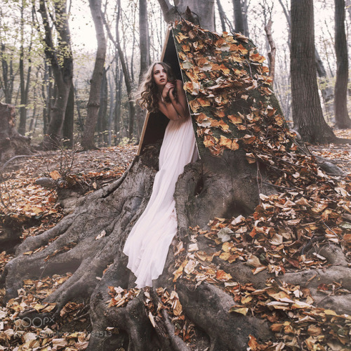 Forest fairy by JovanaRikalo
