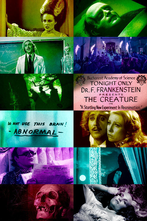 aimmyarrowshigh:31 Days of Halloween Specials… SPOOKSTRAVAGANZA!1023/∞: Young Frankenstein (1974)