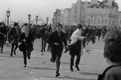 the-book-i-havent-read:  Riots between Mods and Rockers, UK 1964