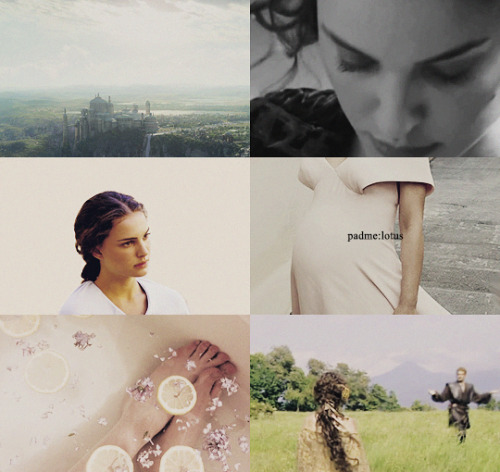 lenoreamidala:Leia: Hebrew: weary Padme: Persian: lotus Rey: Spanish: king Jyn(jin): Chinese: gold