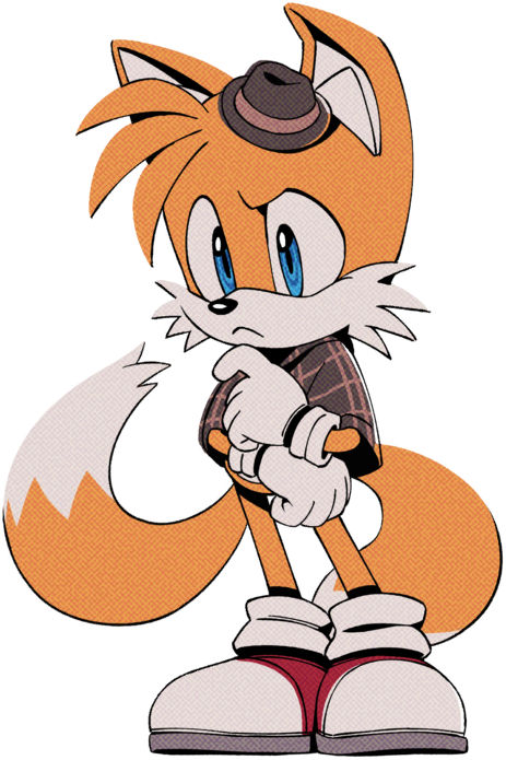 A small collection of GIFs of Tails from perhaps his most adorable  portrayal in any game (except for The Murder of Sonic the Hedgehog of  course), the Advance series! : r/milesprower