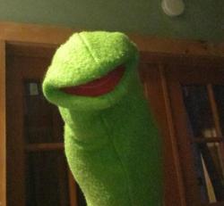 kickin-jeans:  e-seal:  Larva  kermit the 