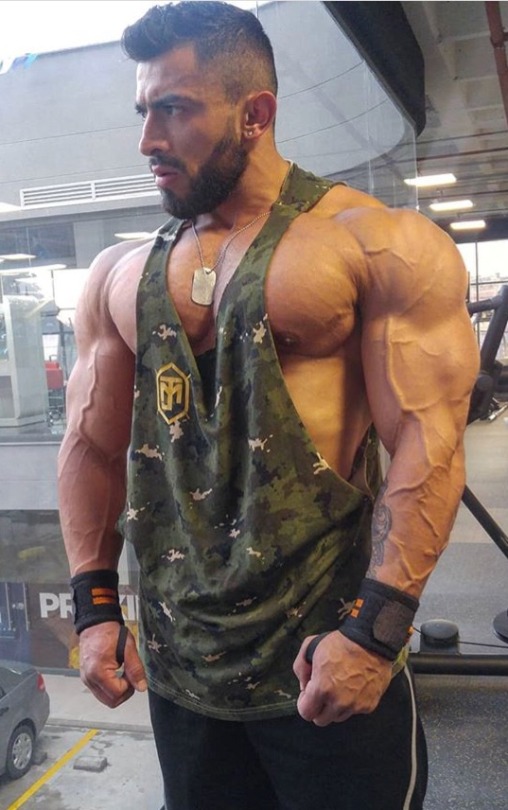alphamaleblog - Alpha Male