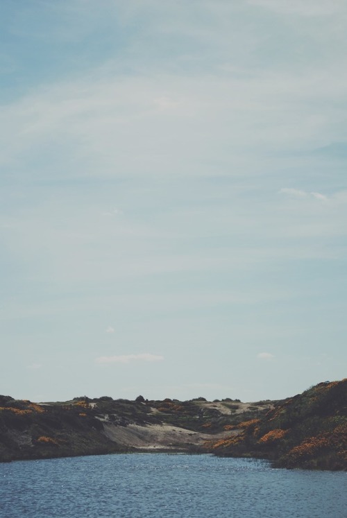 tingirl:  a-woken:  coexpress:  mostly nature  Nature  Personal Blog For Lovers Only