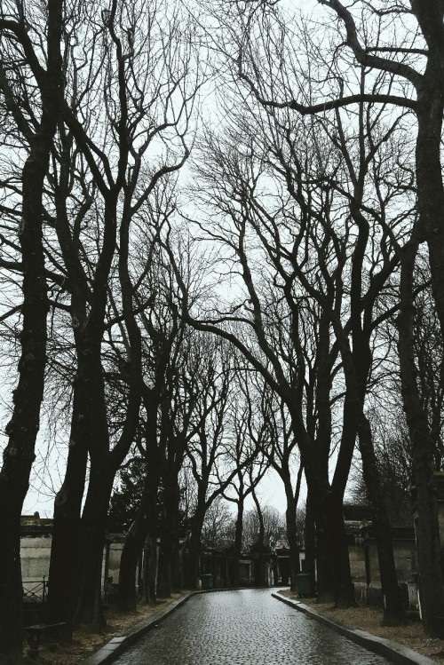 parloir: cimetière du Père Lachaise, France