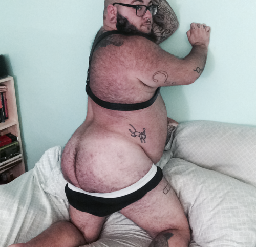 megabaerchen:  vincebear1971:  jcub91:  bearlycare:  Felt like showing off a little after Daddy and I had our fun.  I want one  Well hello!  Mega geiles 🐷!! 😜😝👅💦💦 