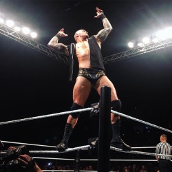 lasskickingwithstyle: wwe: The #viper strikes at #WWEMoline.  @randyorton #apexpredator