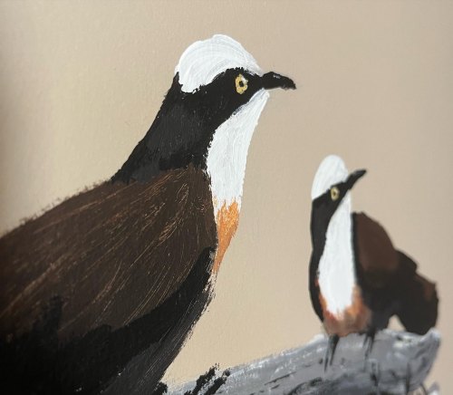 Birds I painted in my parents’ kitchen