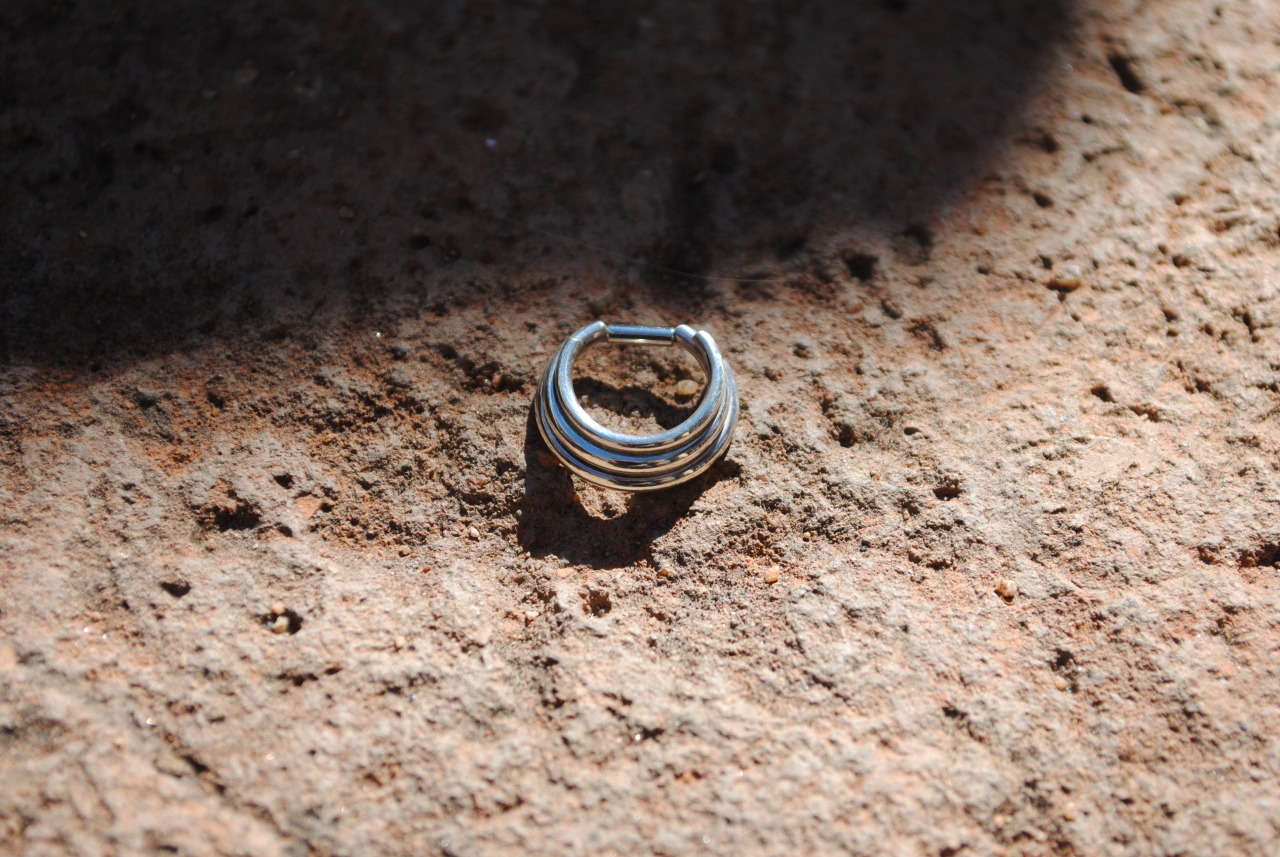 honeycomborganics:  14g Silver 3-Ring Circus Captive Honeycomb Organics, Tucson,