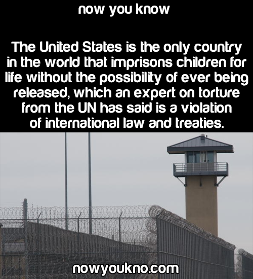 nowyoukno:  Source for more facts follow NowYouKno   