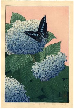 vjeranski:  Inuzuka Taisui“Hydrangea and Butterfly,   1929  