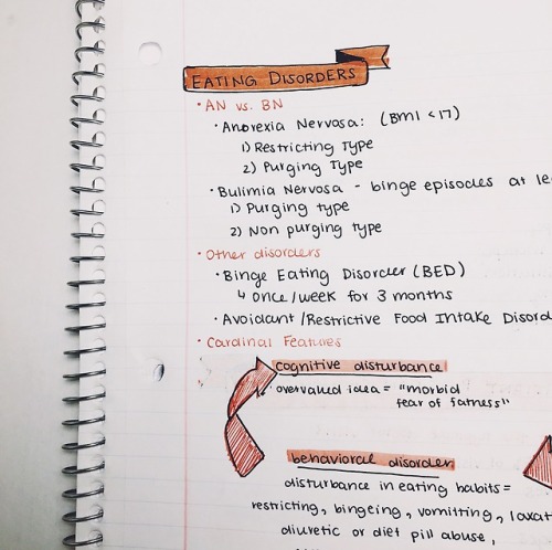 learninghowtopasta: 100 Days of Productivity // Day Forty-ThreeReview notes I took for my exam I had