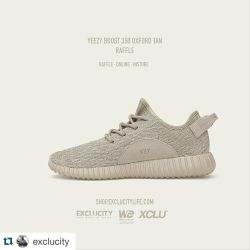 @exclucity @xcluwayoflife #YEEZYXCLU US 6