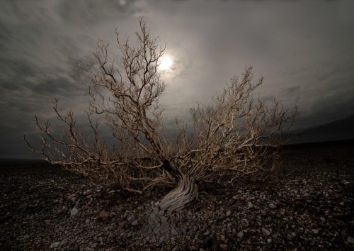 morethanphotography:Life in Death Valley by Eddie-Hade Would you Fuck an Older Lady?