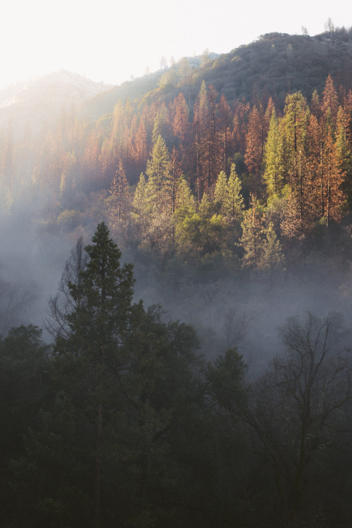 lvndscpe: Merced River, United States | by Adrian