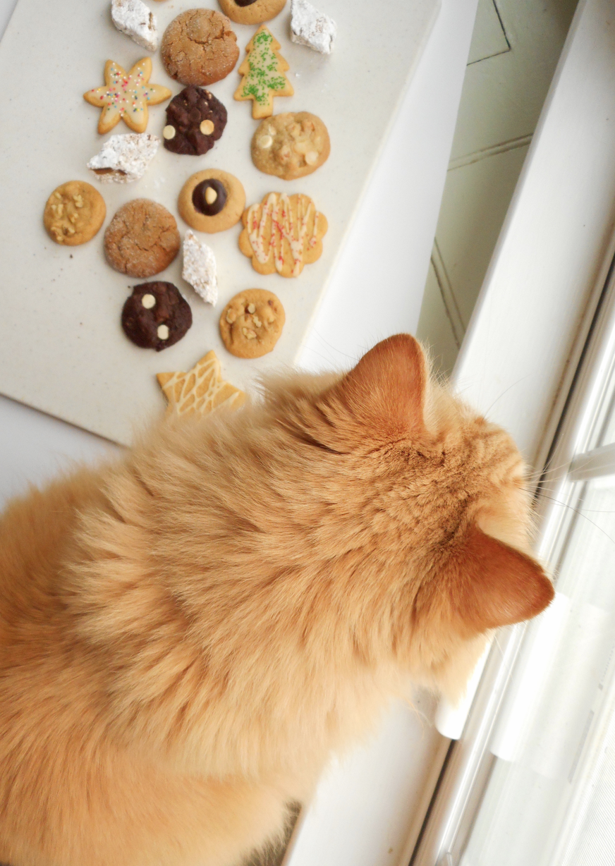 The downside to my new photo-taking spot by the window is, on occasion, a cat will want to use said window. Oh, and the food is within reach of a certain dog’s mouth. But it’s great lighting!
(Cookie types / links under the cut)
[[MORE]]1. Peanut...