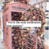abugxcci-deactivated20200404: