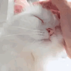 🤍☁️𝚆𝚑𝚒𝚝𝚎 𝙰𝚐𝚎𝚛𝚎☁️🤍