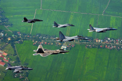 theperksofbeing-infinite:  sigmasixzero:  F-15, F-22, F-18, Su-30, Su-27, BAE Hawk   ++