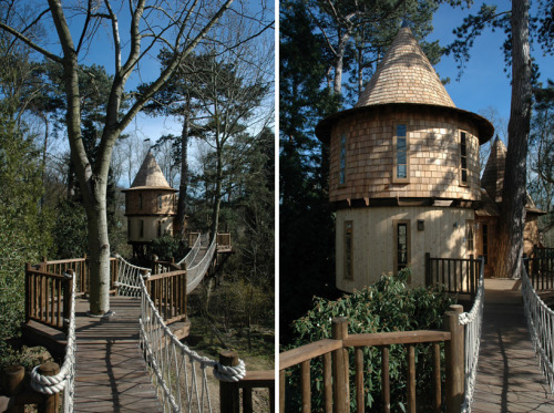 archiemcphee:  This awesome arboreal dwelling is the Living the High Life Tree House created by Blue Forest, a British tree house design and construction firm. It’s a luxury family-sized complex featuring two separate tree houses, one for kids and one