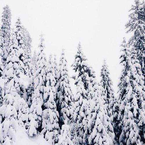 changshapatrol:youngjellyfishbasement:exploring mountains in Russia with Oh Sehun ~i am not gonna wi
