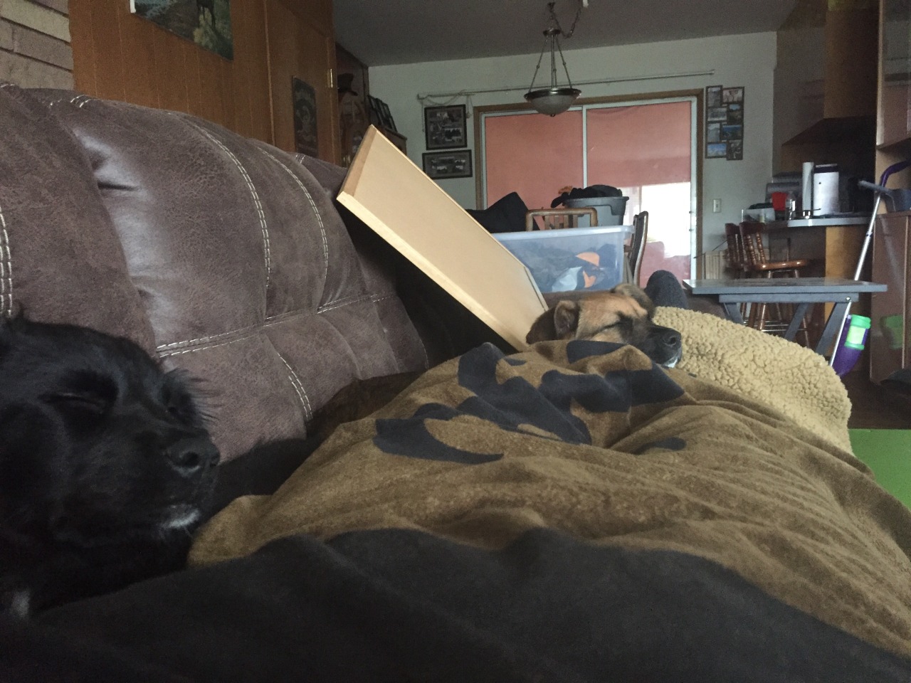 Puppy cuddles always help when you&rsquo;re down