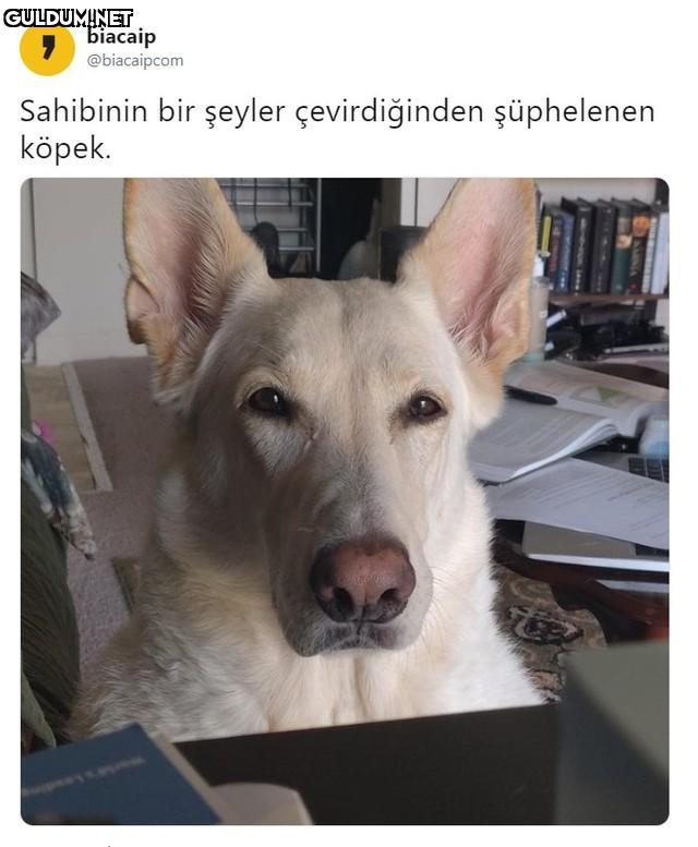 Doğrusunu bildiğim...