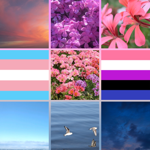 transcendragon: Genderfluid moodboards! The last two moodboards are new! Genderfluid people are fant