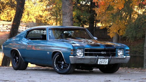 Muscle Cars Fans