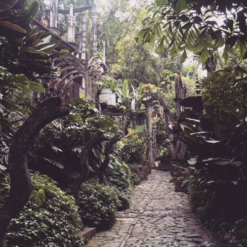 well today was just surreal #Xilitla #jardinedwardjames (at Los Pozas)