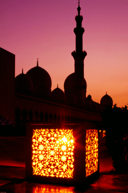 ae5alid:  Mosque Lantern Abu Dhabi, UAE 