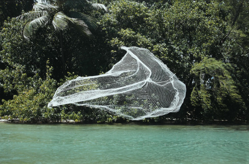 mpdrolet:  Forecast II, 2010 Allora & Calzadilla 