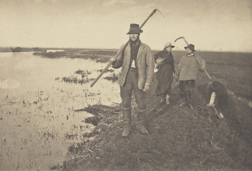 Coming Home from the MarshesPeter Henry Emerson (British, born Cuba; 1856–1936)Platinum print1886J. 