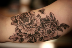 alicecarrier:  black and grey peonies and