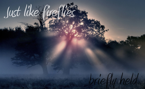 collegecutiepie: Skyhill -Fireflies (x) favorite lyrics