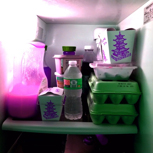 https://dopepornforever.tumblr.com/post/157551299609
