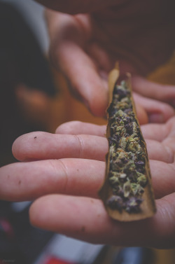 zootedinflorida:  Throw some purp in that blunt. Photographer: Me.