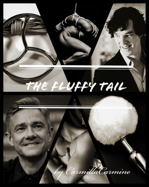 sherlockedcarmilla: The Fluffy Tailby CarmillaCarmine ( @sherlockedcarmilla )  Sherlock is not keen 