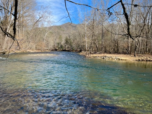 I Love This Place So Much. To My Left Was A Field Of Elk, And To My Right Was The Most Tempting Water