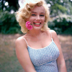 iconsglowz:  marilyn monroelike if you save or use!!request here