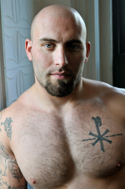 Bears, Cubs and Muscle
