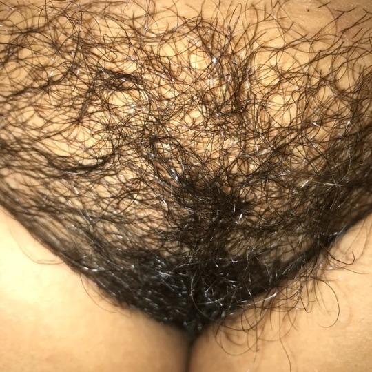 lolasmaster70:  Fuzzy Tuesday 