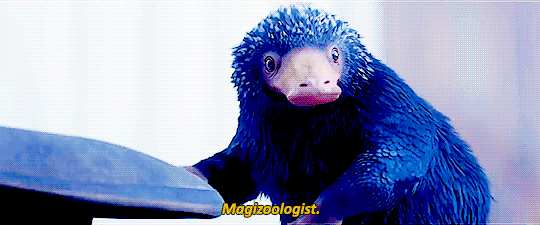 hardyness:Fantastic Beasts and Where to Find Them → I’m writing a book about magical creatures.