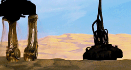 freedominwickedness:sonneillonv:baeddelshinsgirl:ananiujitha:baeddelshinsgirl:zappacats:favorite sta