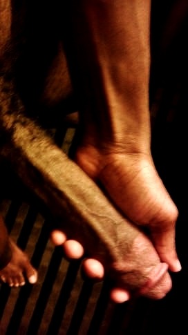 adonisdynasty:  FOLLOW: ADONISDYNASTY.TUMBLR.COM SUBMIT PICS VIA TUMBLR ORKIK: TRADEMARKCHRONICLEZ