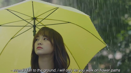 &ldquo;how much rain has fell from your eyes to raise a single flower?&rdquo; — flower