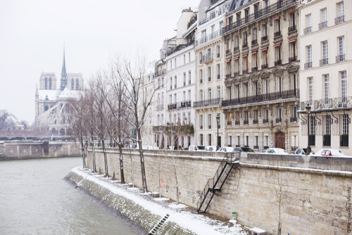 ollivanderous: Paris Covered in Snow by Carin Olsson