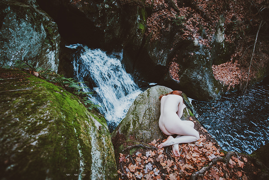 corwinprescott:    “Into the Wild”Connecticut 2015Corwin Prescott - Amber Rose